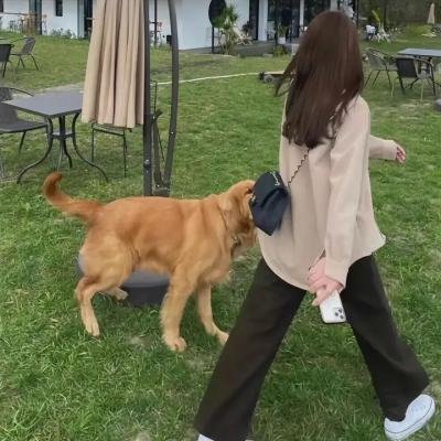 李碧华鬼魅系列:奇幻夜